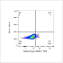 ABflo® 594 Rabbit anti-Human CD262/DR5/TRAILR2 mAb (100 T)