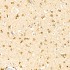 KO-Validated SMPD1 Rabbit mAb (20 μl)