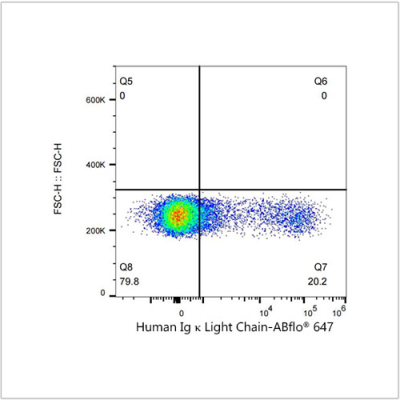 ABflo® 647 Rabbit anti-Human Ig κ Light Chain mAb (100 T)