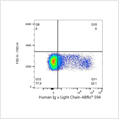ABflo® 594 Rabbit anti-Human Ig κ Light Chain mAb (100 T)