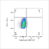 ABflo® 647 Rabbit anti-Human CD9 mAb (100 T)