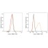 ABflo® 405 Rabbit IgG Isotype Control (100 T)