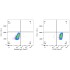 PerCP Rabbit IgG Isotype Control (100 T)