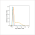 ABflo® 594 Rabbit anti-Human IL-1β mAb (100 T)