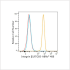 ABflo® 488 Rabbit anti-Human Integrin β5/ITGB5 mAb (100 T)