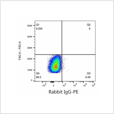 PE Rabbit anti-Human CD85j/ILT2 mAb (100 T)