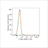 ABflo® 594 Rabbit anti-Human CD86 mAb (100 T)