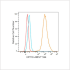 ABflo® 594 Rabbit anti-Human Cytokeratin 19 (KRT19) mAb (100 T)