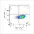 ABflo® 594 Rabbit anti-Human CD96/TACTILE mAb (100 T)