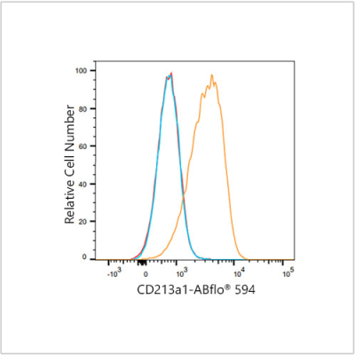 ABflo® 594 Rabbit anti-Human CD213a1/IL-13Rα1 mAb (100 T)