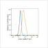 ABflo® 647 Rabbit anti-Human CD47 mAb (100 T)