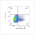 ABflo® 488 Rabbit anti-Human CD62E/E-Selectin mAb (100 T)