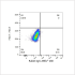 ABflo® 488 Rabbit anti-Human CD105/Endoglin mAb (100 T)
