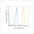ABflo® 647 Rabbit anti-Human CD105/Endoglin mAb (100 T)