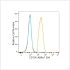 ABflo® 594 Rabbit anti-Human CD105/Endoglin mAb (100 T)
