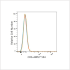 ABflo® 594 Rabbit anti-Human CD6 mAb (100 T)
