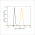 ABflo® 488 Rabbit anti-Human CD112/Nectin-2 mAb (100 T)