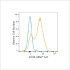 ABflo® 647 Rabbit anti-Human CD38 mAb (100 T)
