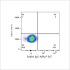 ABflo® 647 Rabbit anti-Human Podoplanin mAb (100 T)