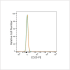 PE Rabbit anti-Human/Monkey CD20 mAb (100 T)