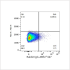 ABflo® 647 Rabbit anti-Human CD84 mAb (100 T)