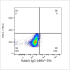 ABflo® 594 Rabbit anti-Human CD166/ALCAM mAb (100 T)