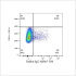 ABflo® 594 Rabbit anti-Human ICAM-1/CD54 mAb (100 T)