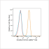ABflo® 594 Rabbit anti-Human ICAM2/CD102 mAb (100 T)