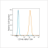 ABflo® 594 Rabbit anti-Human CD146 mAb (100 T)