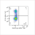 ABflo® 488 Rabbit anti-Human CD185/CXCR5 mAb (100 T)