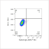 ABflo® 594 Rabbit anti-Human CD261/TRAIL-R1 mAb (100 T)