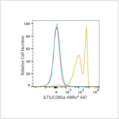 ABflo® 647 Rabbit anti-Human ILT5/CD85a mAb (100 T)