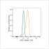 ABflo® 594 Rabbit anti-Human Megalin/LRP2 mAb (100 T)