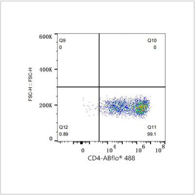 ABflo® 488 Rabbit anti-Mouse CD4 mAb (100 T)