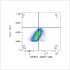 ABflo® 488 Rabbit anti-Human MERTK mAb (100 T)