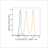 ABflo® 594 Rabbit anti-Human CD158a/KIR2DL1 mAb (100 T)