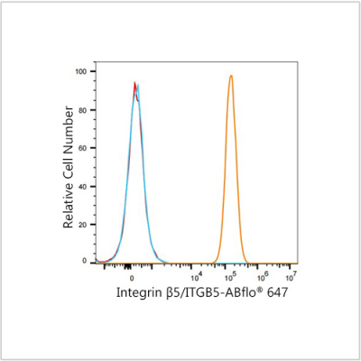 Integrin β5/ITGB5 Rabbit mAb (100 μL)