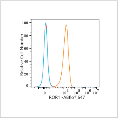 ROR1 Rabbit mAb (100 μL)