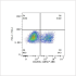 ABflo® 488 Rabbit anti-Human ENPP3/CD203c mAb (100 T)
