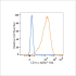 ABflo® 594 Rabbit anti-Human CD11a mAb (100 T)