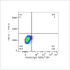 ABflo® 594 Rabbit anti-Human ROR1 mAb (100 T)
