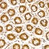 KD-Validated PSMA7 Rabbit mAb (20 μl)