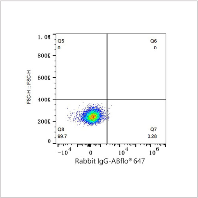 ABflo® 647 Rabbit anti-Human CD98 mAb (100 T)