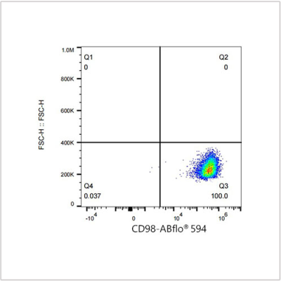 ABflo® 594 Rabbit anti-Human CD98 mAb (100 T)