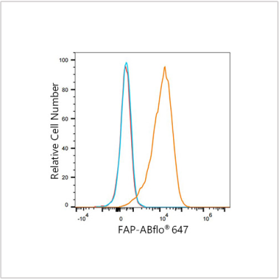 ABflo® 647 Rabbit anti-Human FAP mAb (100 T)
