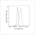 ABflo® 594 Rabbit anti-Human FAP mAb (100 T)