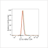 ABflo® 594 Rabbit anti-Human CD1d mAb (100 T)