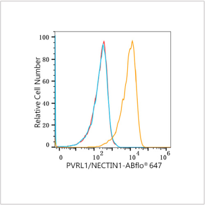PVRL1/NECTIN1 Rabbit mAb (100 μL)