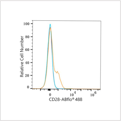 ABflo® 488 Rabbit anti-Mouse CD28 mAb (100 T)