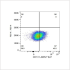 ABflo® 647 Rabbit anti-Human CD131 mAb (100 T)